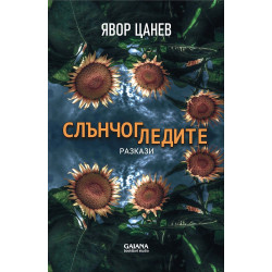 Слънчогледите