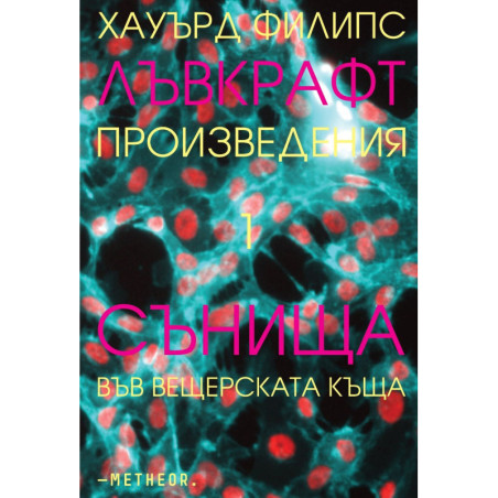 Сънища във вещерската къща