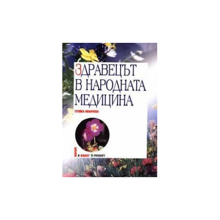 Здравецът в народната медицина