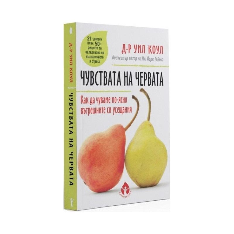 Чувствата на червата. Как да разчитаме по-ясно вътрешните си усещания