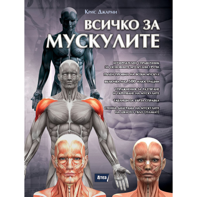 Всичко за мускулите