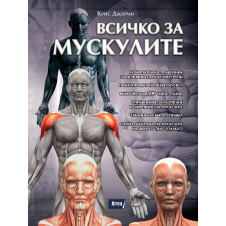 Всичко за мускулите