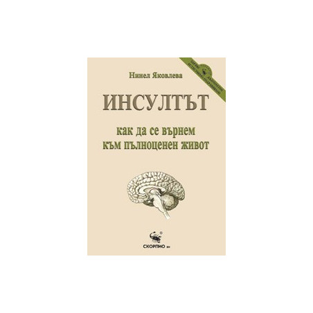Инсултът – как да се върнем към пълноценен живот 