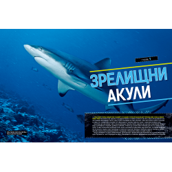 National Geographic Kids: Невероятна книга за акулите