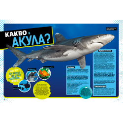 National Geographic Kids: Невероятна книга за акулите