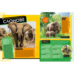 National Geographic Kids: Невероятна книга за африканските животни
