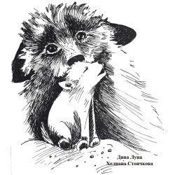 Дива Луна