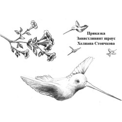 Завистливият щраус