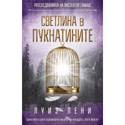 Светлина в пукнатините (Разследванията на инспектор Гамаш 9)