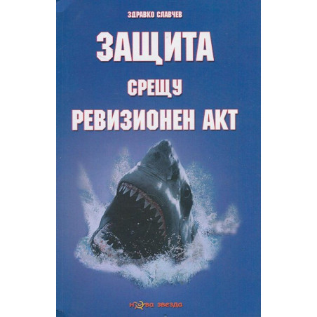 Защита срещу ревизионен акт