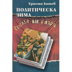 Политическа зима