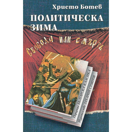 Политическа зима