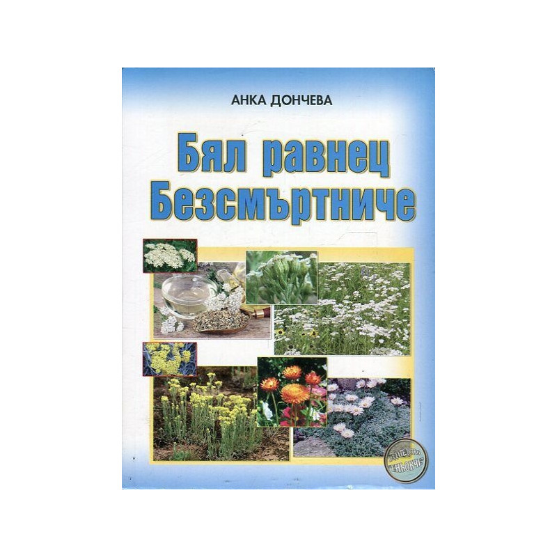 Бял равнец. Безсмъртниче