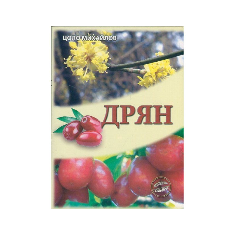 Дрян