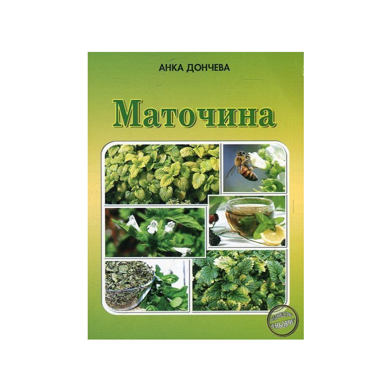 Маточина