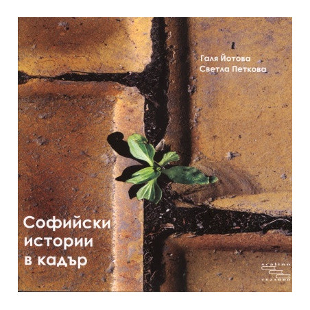 Софийски истории в кадър