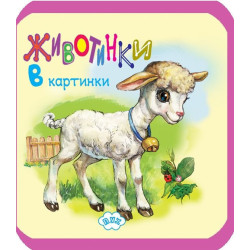 Животинки в картинки: Агънце