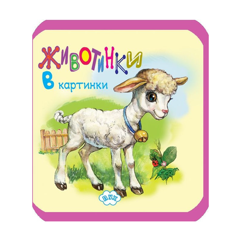 Животинки в картинки: Агънце