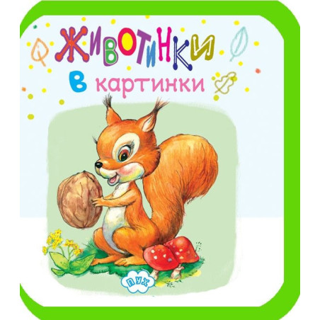 Животинки в картинки: Катеричка