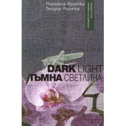 Тъмна светлина