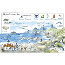 1001 неща, които да откриеш в морето: Книга-игра