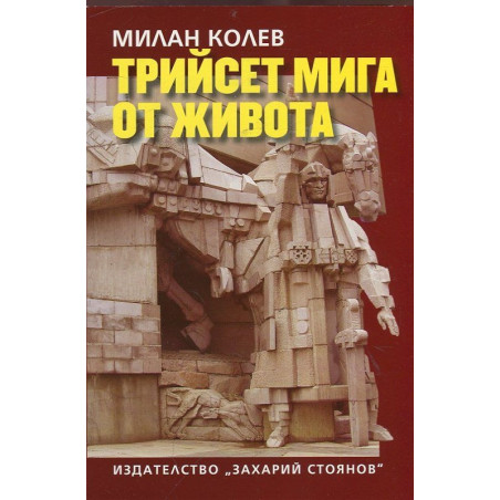 Трийсет мига от живота