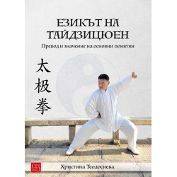 Езикът на тайдзицюен