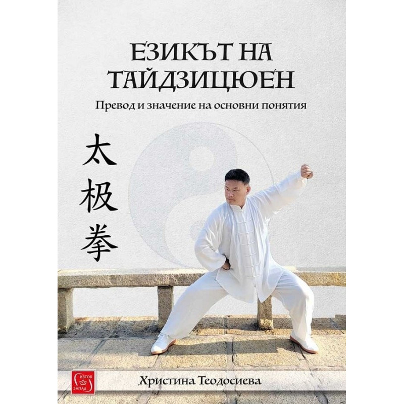 Езикът на тайдзицюен