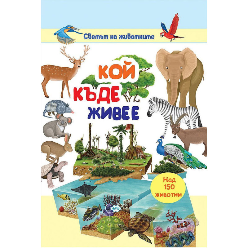 Кой къде живее