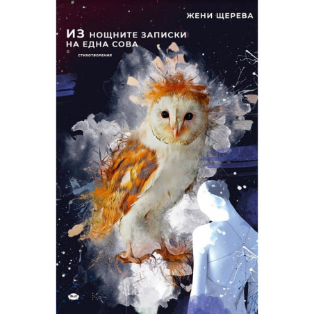 Из нощните записки на една