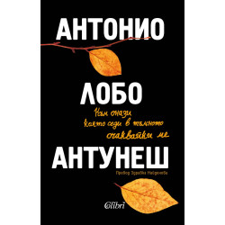 Към онази която седи в тъмното очаквайки ме