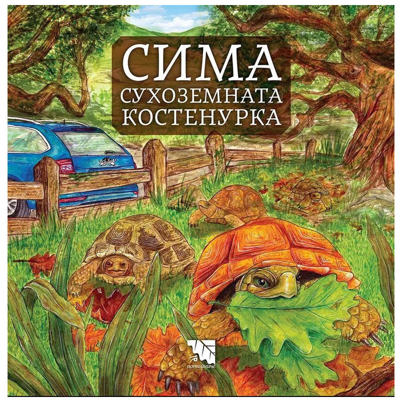 Сима - сухоземната костенурка