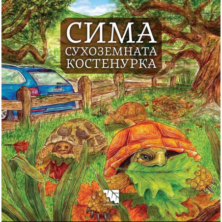 Сима - сухоземната костенурка