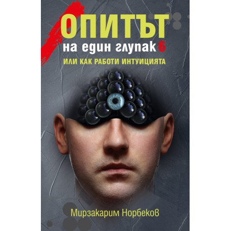 Опитът на един глупак 6 - или как работи интуицията