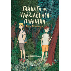 Тайната на Чакълената планина