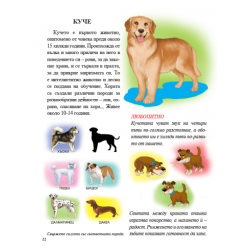 Весело училище!: Животните (4-6 години)