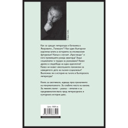 В пукнатините на канона: Провинции. Аероплани. Лексикони