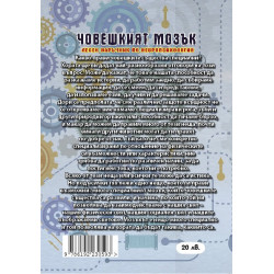 Човешкият мозък - лесен наръчник по невропсихология