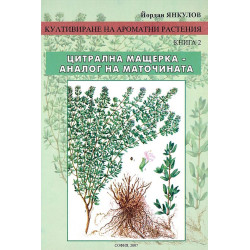 Култивиране на ароматни растения - книга 2: Цитрална мащерка - аналог на маточината