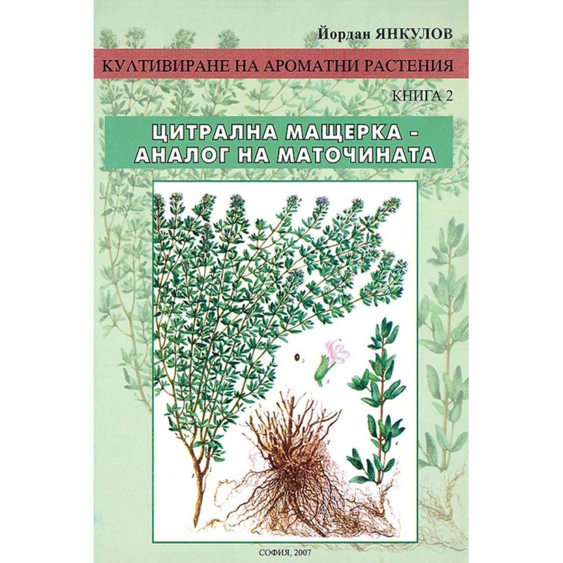 Култивиране на ароматни растения - книга 2: Цитрална мащерка - аналог на маточината