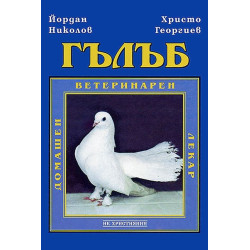 Гълъб. Домашен ветеринарен лекар