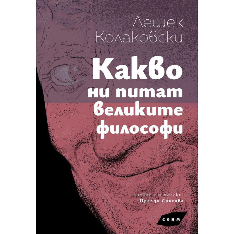 Какво ни питат великите философи