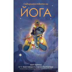 Съвършенството на Йога
