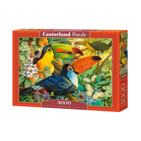 Пъзел Castorland от 3000 части - Интерлюдия