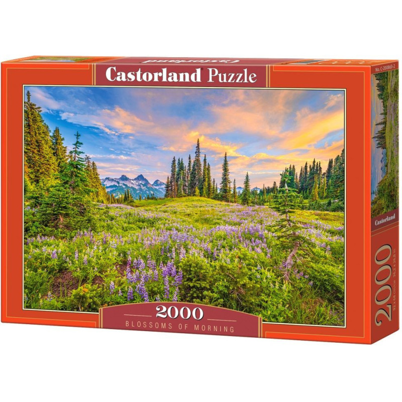 Пъзел Castorland от 2000 части - Цветовете на утрото