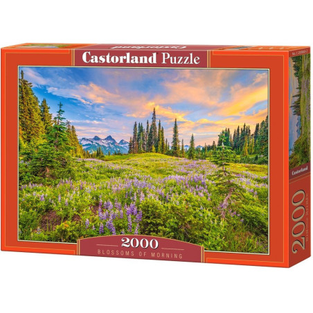 Пъзел Castorland от 2000 части - Цветовете на утрото