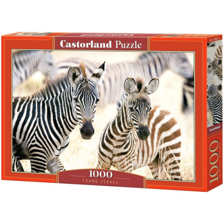 Пъзел Castorland от 1000 части - Млади зебри