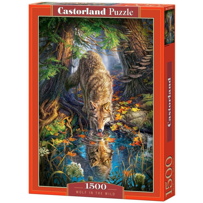 Пъзел Castorland от 1000 части - Пролетни цветя в Париж