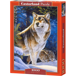Пъзел Castorland от 1000 части - Страж, Ал Агню