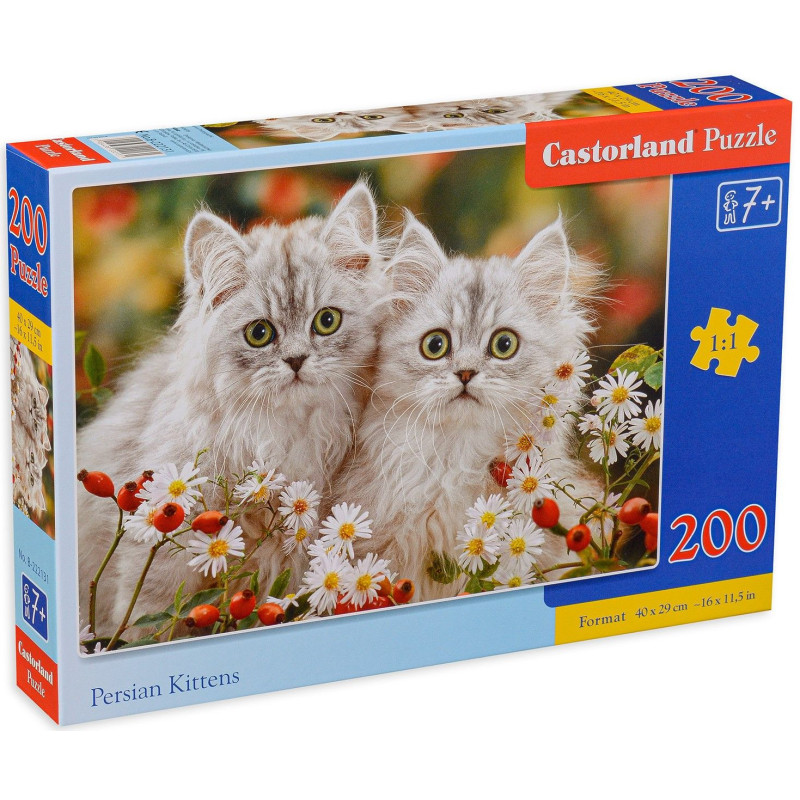 Пъзел Castorland от 200 части - Котенца